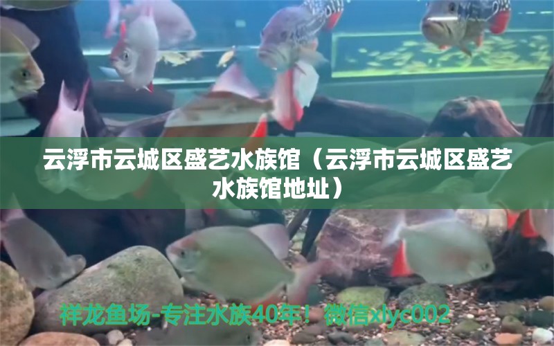 云浮市云城区盛艺水族馆（云浮市云城区盛艺水族馆地址）