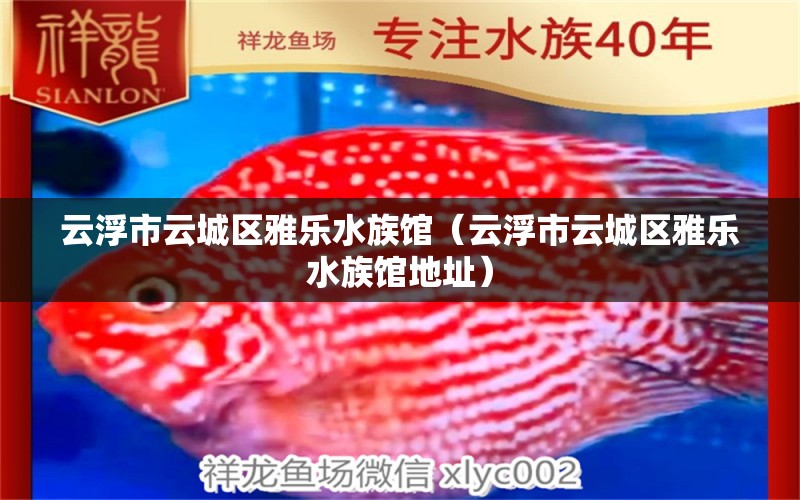 云浮市云城区雅乐水族馆（云浮市云城区雅乐水族馆地址） 全国水族馆企业名录