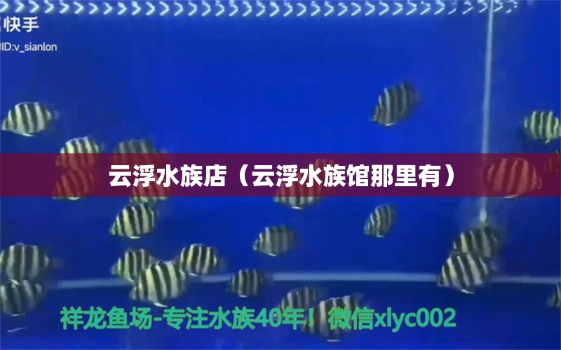 云浮水族店（云浮水族馆那里有） 观赏鱼市场