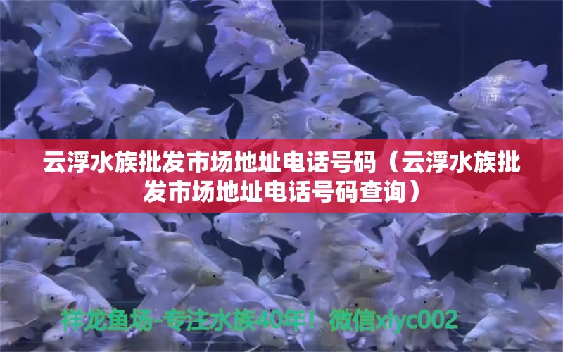 云浮水族批发市场地址电话号码（云浮水族批发市场地址电话号码查询）