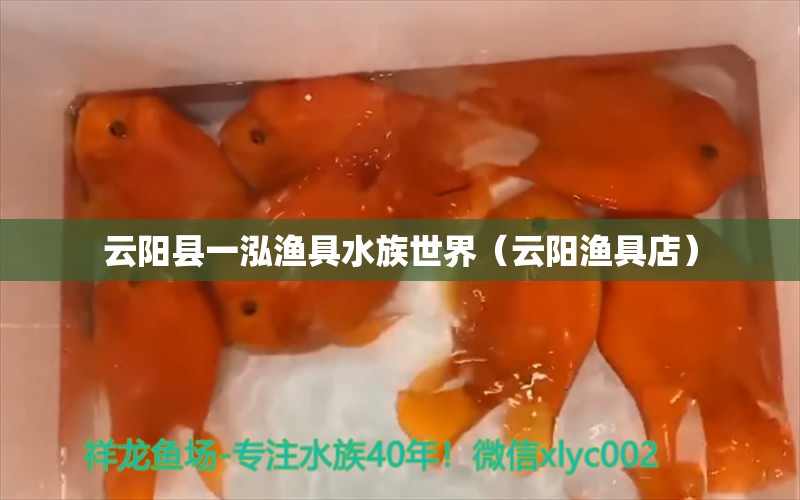 云阳县一泓渔具水族世界（云阳渔具店） 全国水族馆企业名录