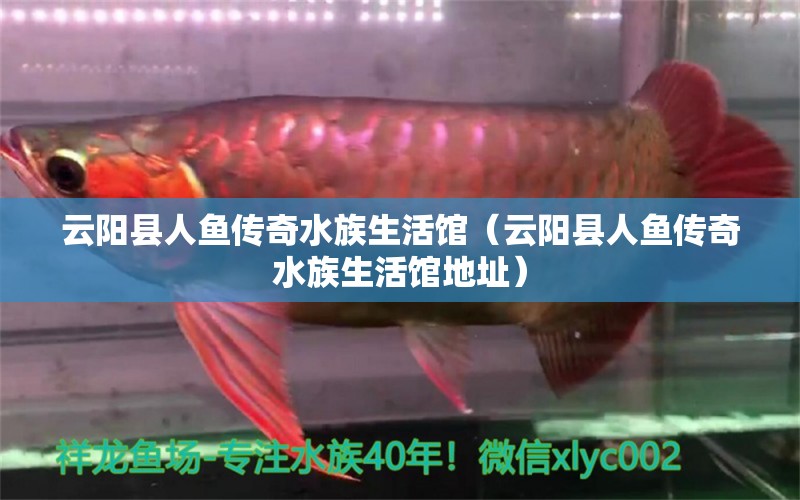 云阳县人鱼传奇水族生活馆（云阳县人鱼传奇水族生活馆地址） 全国水族馆企业名录