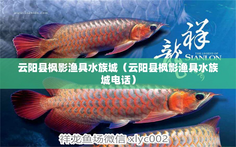 云阳县枫影渔具水族城（云阳县枫影渔具水族城电话） 全国水族馆企业名录