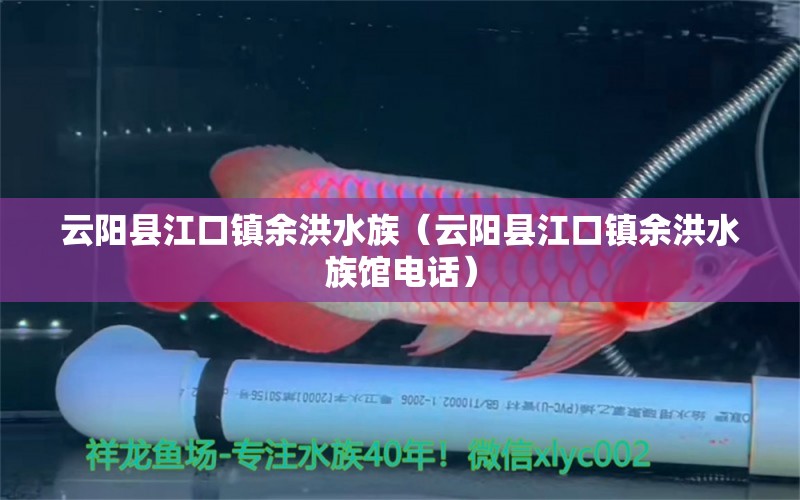 云阳县江口镇余洪水族（云阳县江口镇余洪水族馆电话）