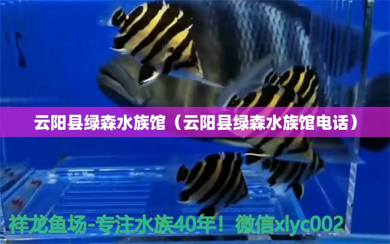 云阳县绿森水族馆（云阳县绿森水族馆电话） 全国水族馆企业名录