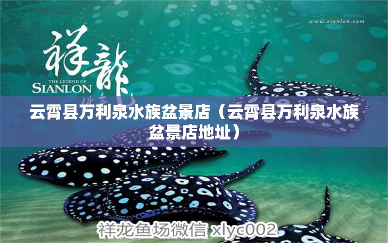 云霄县万利泉水族盆景店（云霄县万利泉水族盆景店地址） 全国水族馆企业名录