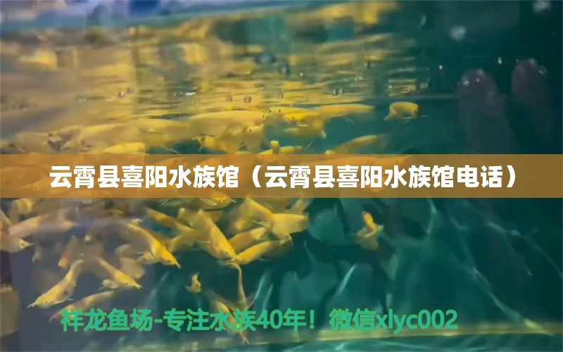 云霄县喜阳水族馆（云霄县喜阳水族馆电话）