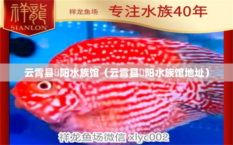 云霄县玥阳水族馆（云霄县玥阳水族馆地址） 全国水族馆企业名录