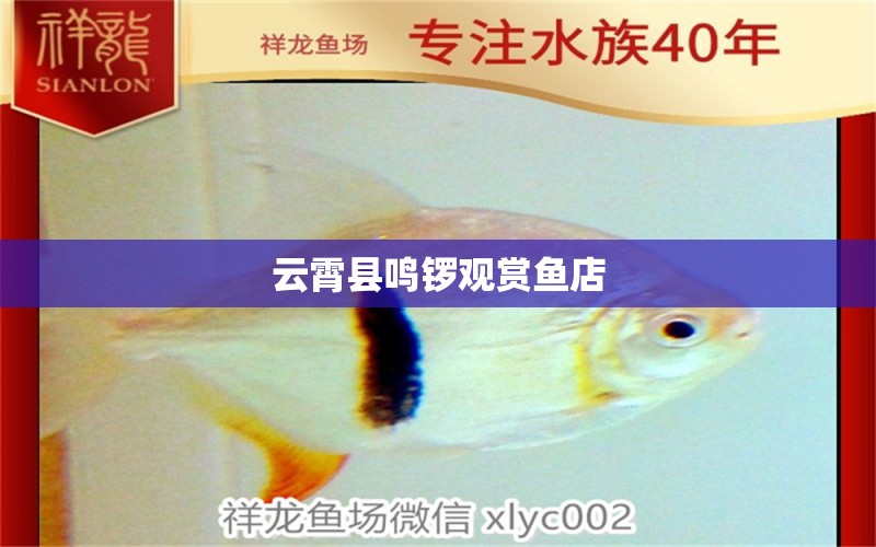 云霄县鸣锣观赏鱼店 全国水族馆企业名录