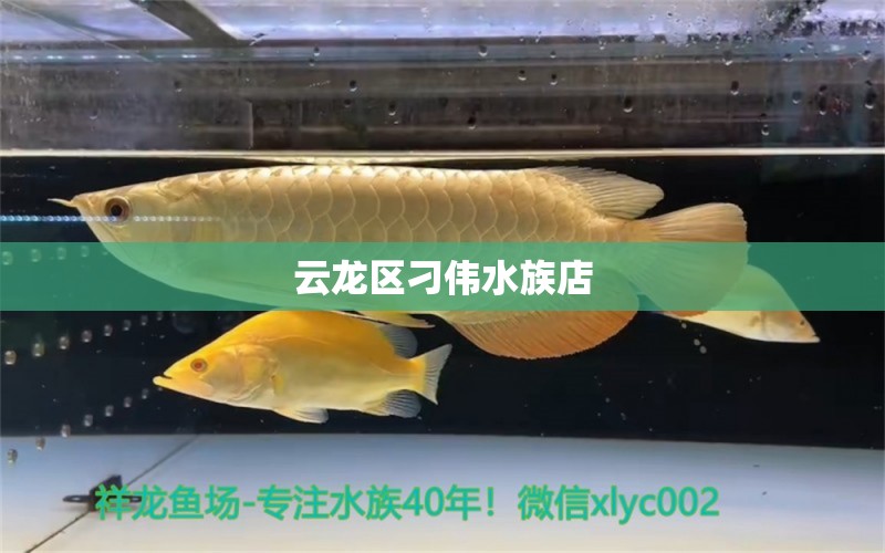 云龙区刁伟水族店