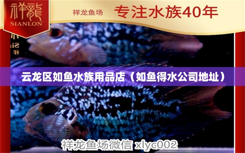 云龙区如鱼水族用品店（如鱼得水公司地址）