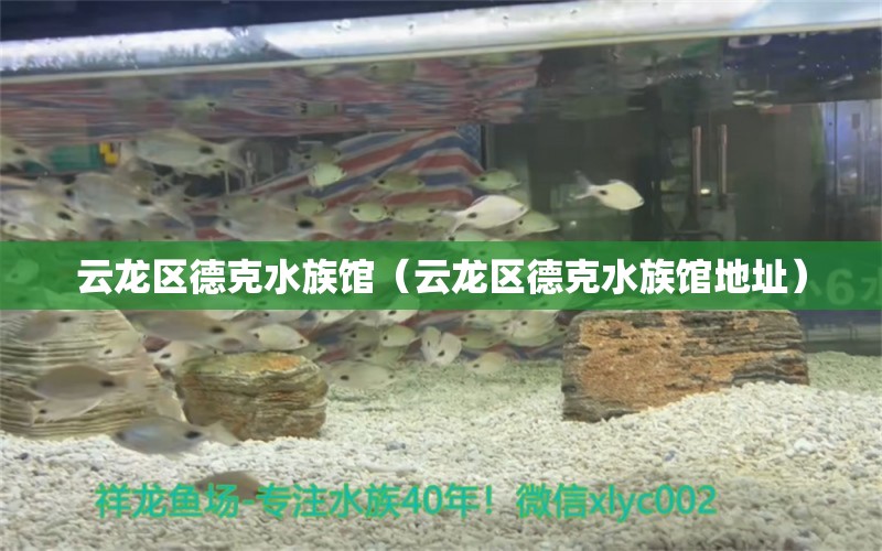 云龙区德克水族馆（云龙区德克水族馆地址） 全国水族馆企业名录