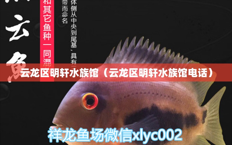 云龙区明轩水族馆（云龙区明轩水族馆电话） 全国水族馆企业名录