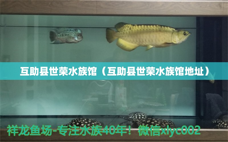 互助县世荣水族馆（互助县世荣水族馆地址）