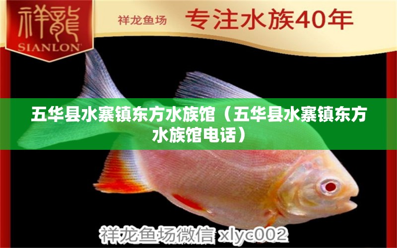 五华县水寨镇东方水族馆（五华县水寨镇东方水族馆电话）