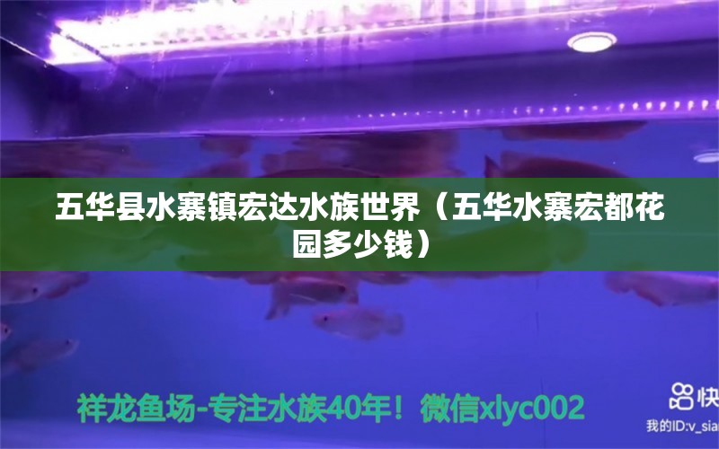 五华县水寨镇宏达水族世界（五华水寨宏都花园多少钱） 全国水族馆企业名录