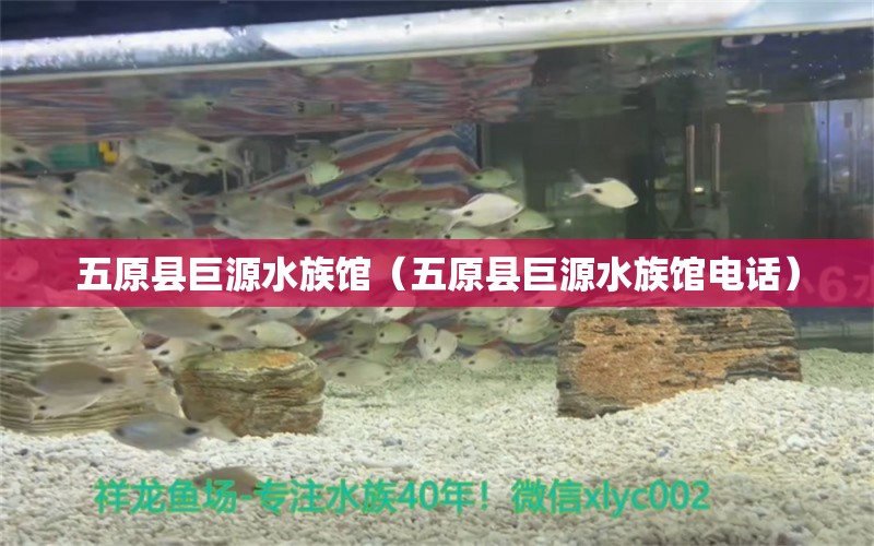 五原县巨源水族馆（五原县巨源水族馆电话） 全国水族馆企业名录