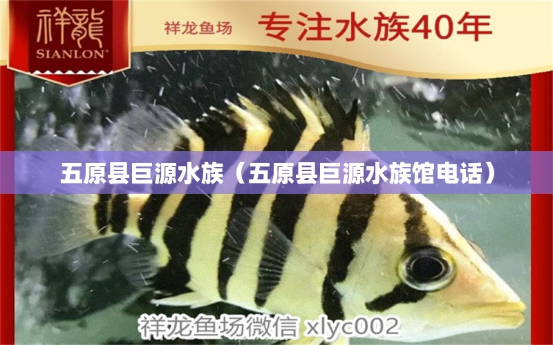 五原县巨源水族（五原县巨源水族馆电话） 全国水族馆企业名录