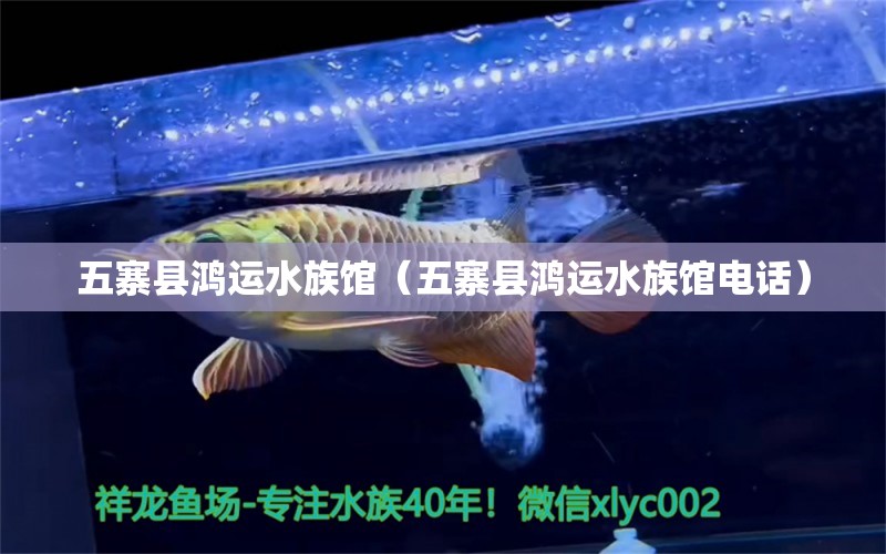 五寨县鸿运水族馆（五寨县鸿运水族馆电话）