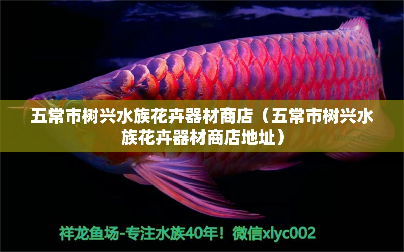 五常市树兴水族花卉器材商店（五常市树兴水族花卉器材商店地址）