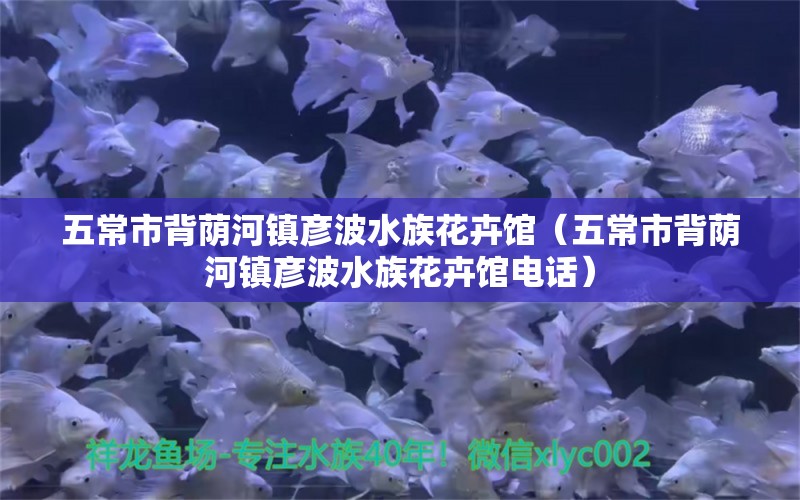 五常市背荫河镇彦波水族花卉馆（五常市背荫河镇彦波水族花卉馆电话）