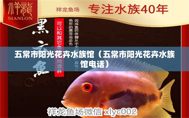 五常市阳光花卉水族馆（五常市阳光花卉水族馆电话） 全国水族馆企业名录