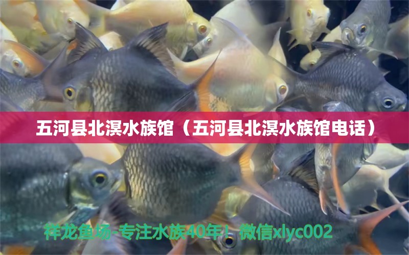 五河县北溟水族馆（五河县北溟水族馆电话）