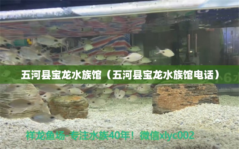 五河县宝龙水族馆（五河县宝龙水族馆电话） 全国水族馆企业名录