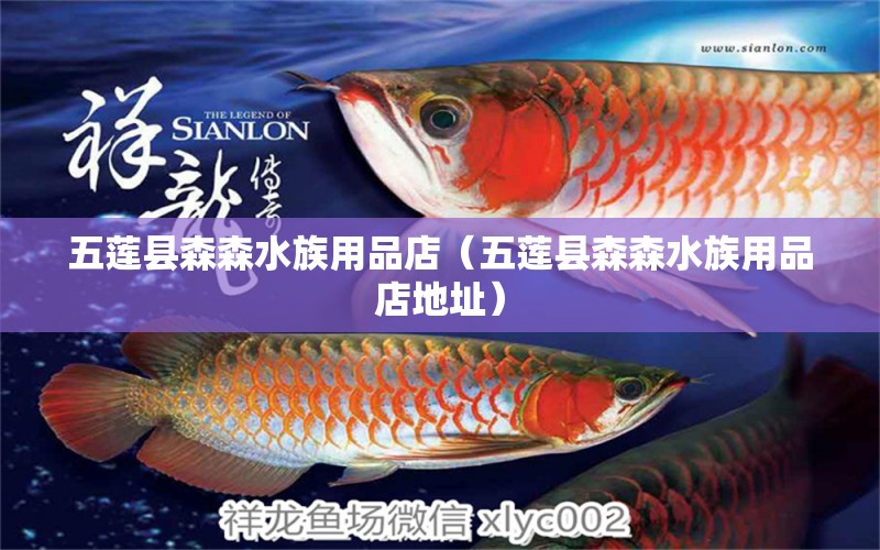 五莲县森森水族用品店（五莲县森森水族用品店地址）