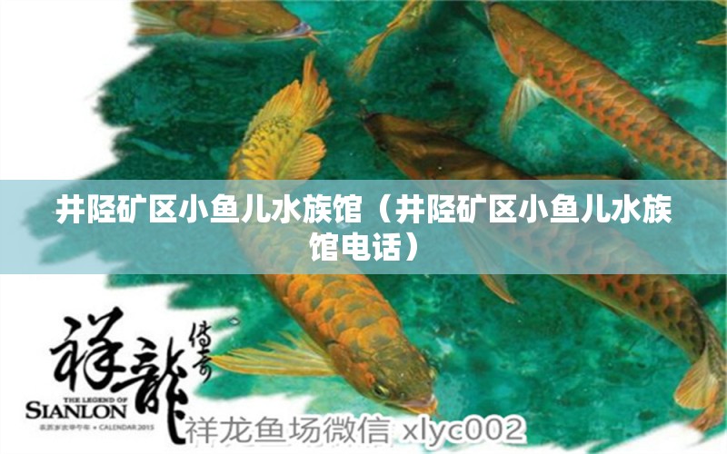 井陉矿区小鱼儿水族馆（井陉矿区小鱼儿水族馆电话） 全国水族馆企业名录