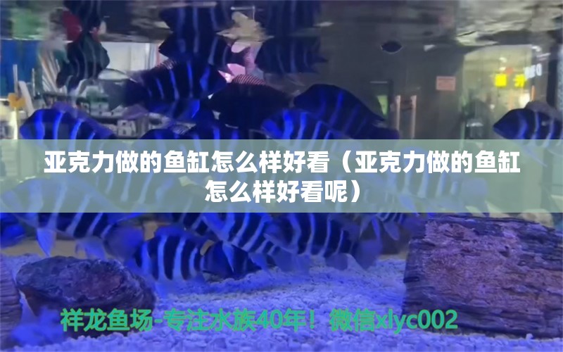 亚克力做的鱼缸怎么样好看（亚克力做的鱼缸怎么样好看呢） 祥龙水族医院