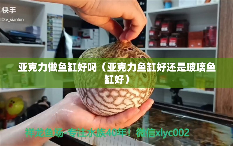 亚克力做鱼缸好吗（亚克力鱼缸好还是玻璃鱼缸好） 彩鲽鱼缸（彩蝶鱼缸）