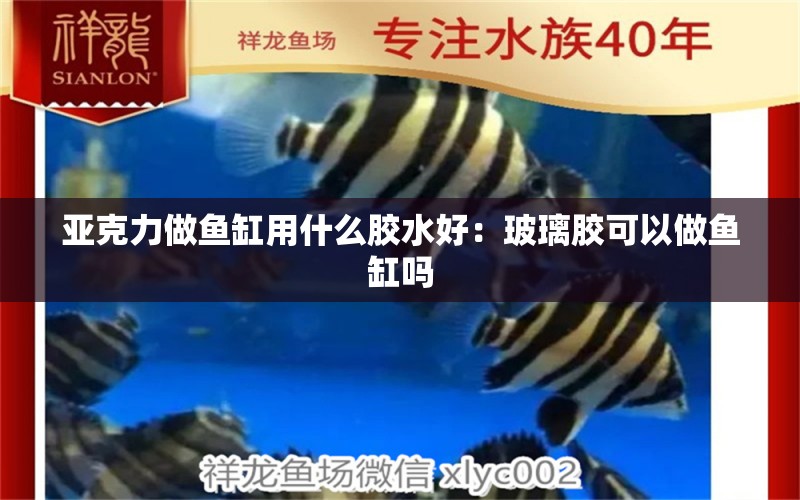 亚克力做鱼缸用什么胶水好：玻璃胶可以做鱼缸吗 水族品牌 第1张