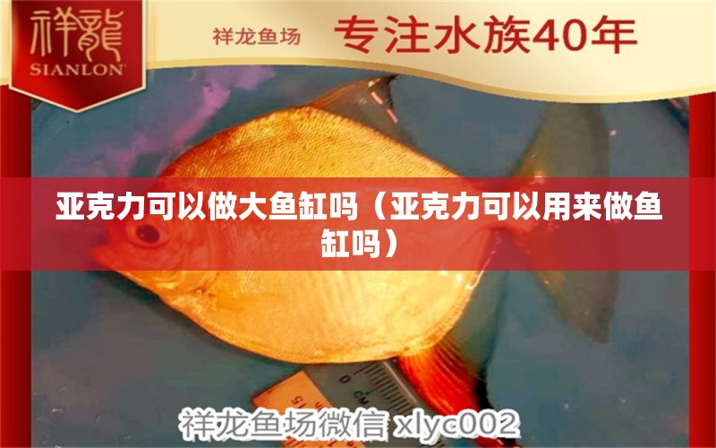 亚克力可以做大鱼缸吗（亚克力可以用来做鱼缸吗）