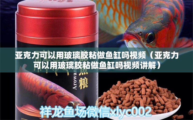 亚克力可以用玻璃胶粘做鱼缸吗视频（亚克力可以用玻璃胶粘做鱼缸吗视频讲解）