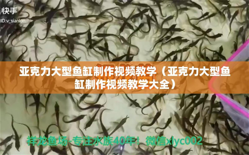 亚克力大型鱼缸制作视频教学（亚克力大型鱼缸制作视频教学大全） 其他品牌鱼缸