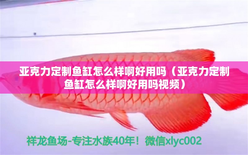 亚克力定制鱼缸怎么样啊好用吗（亚克力定制鱼缸怎么样啊好用吗视频）