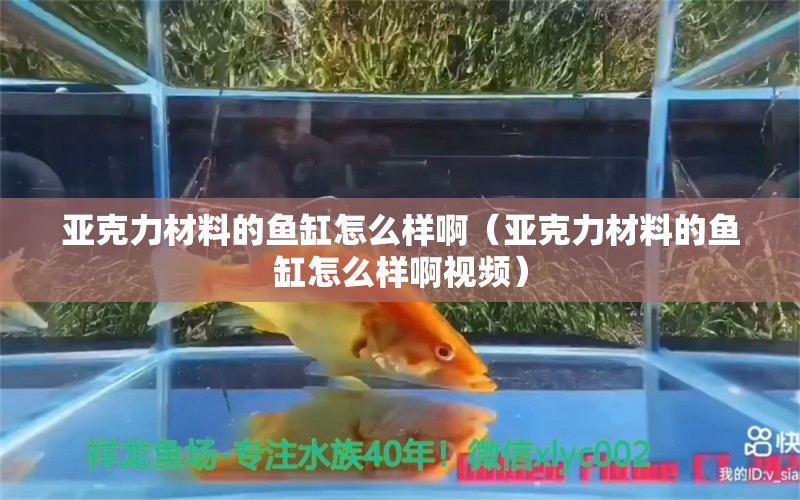 亚克力材料的鱼缸怎么样啊（亚克力材料的鱼缸怎么样啊视频）