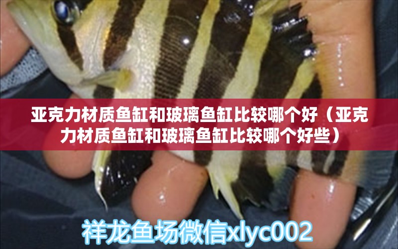 亚克力材质鱼缸和玻璃鱼缸比较哪个好（亚克力材质鱼缸和玻璃鱼缸比较哪个好些）