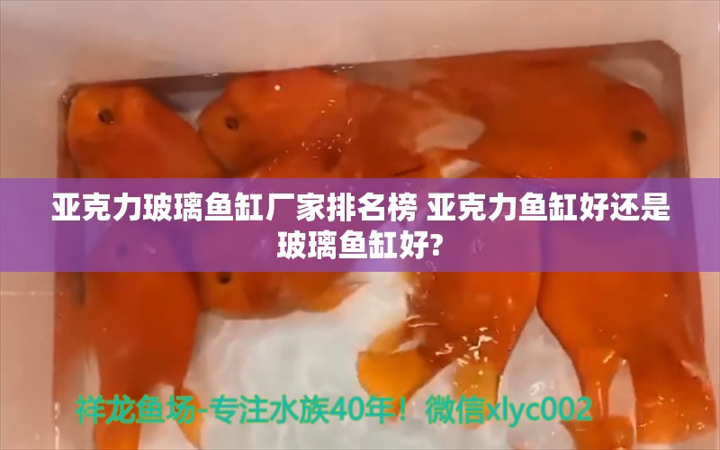 亚克力玻璃鱼缸厂家排名榜 亚克力鱼缸好还是玻璃鱼缸好?