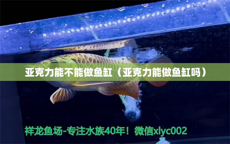 亚克力能不能做鱼缸（亚克力能做鱼缸吗） 祥龙水族医院