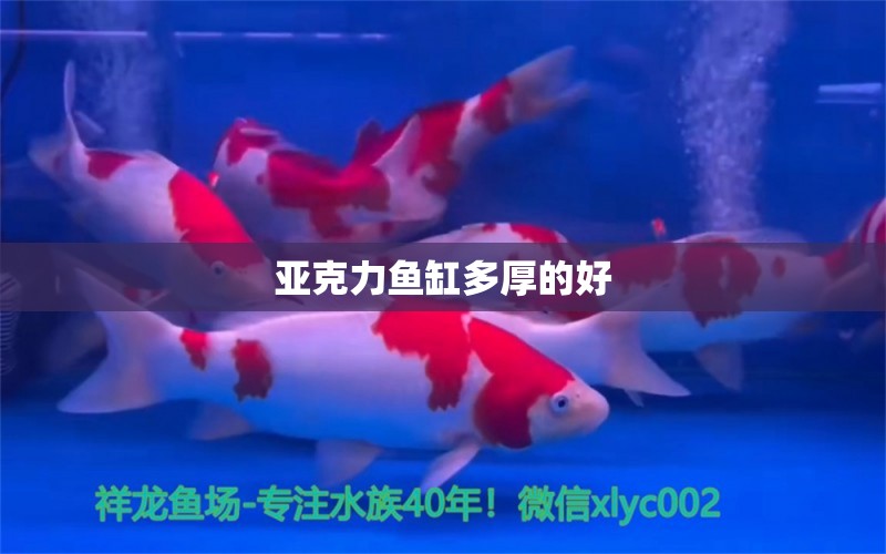 亚克力鱼缸多厚的好 水族问答 第1张