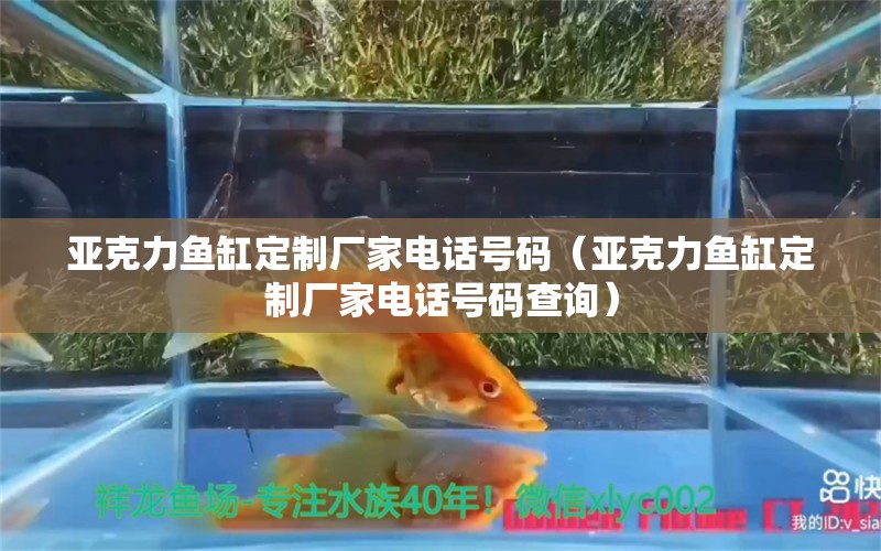 亚克力鱼缸定制厂家电话号码（亚克力鱼缸定制厂家电话号码查询）