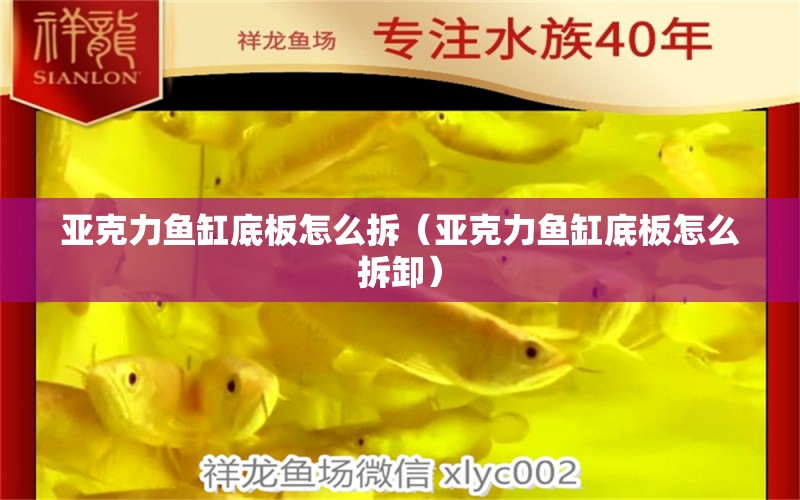 亚克力鱼缸底板怎么拆（亚克力鱼缸底板怎么拆卸） 祥龙水族医院