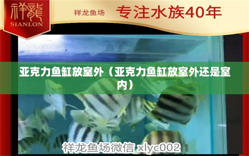 亚克力鱼缸放室外（亚克力鱼缸放室外还是室内） 祥龙水族医院