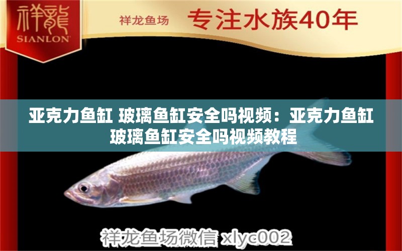亚克力鱼缸 玻璃鱼缸安全吗视频：亚克力鱼缸 玻璃鱼缸安全吗视频教程 广州水族批发市场