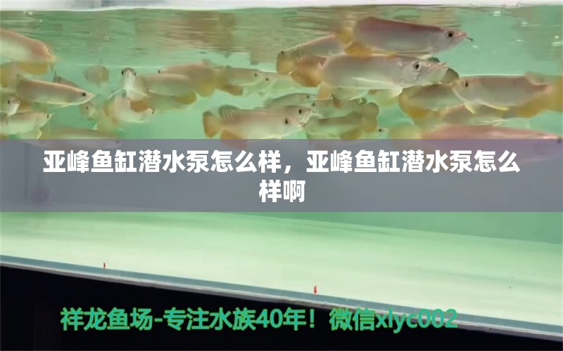 亚峰鱼缸潜水泵怎么样，亚峰鱼缸潜水泵怎么样啊