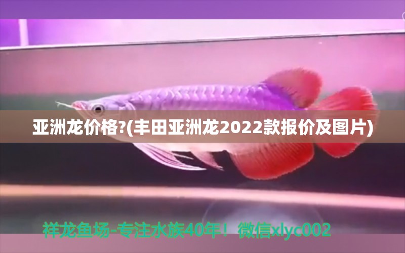 亚洲龙价格?(丰田亚洲龙2022款报价及图片)