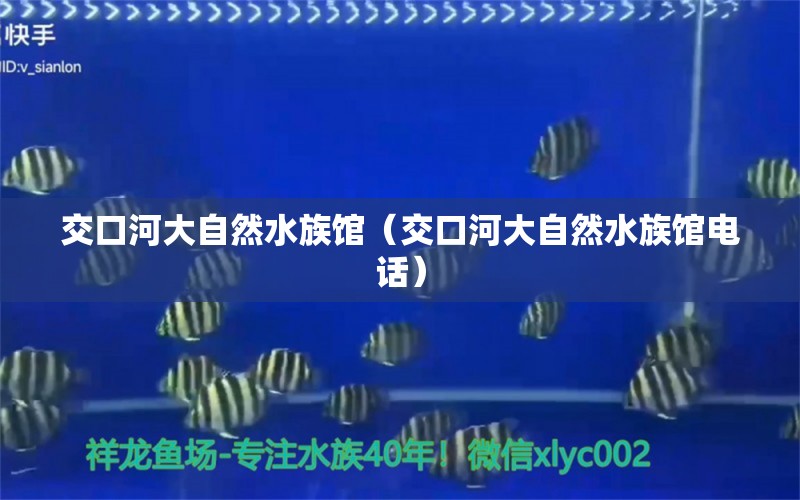 交口河大自然水族馆（交口河大自然水族馆电话）