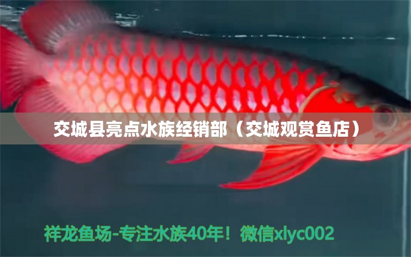 交城县亮点水族经销部（交城观赏鱼店） 全国水族馆企业名录